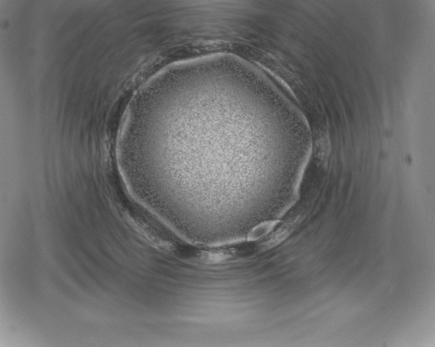 X0000080200662200612221407