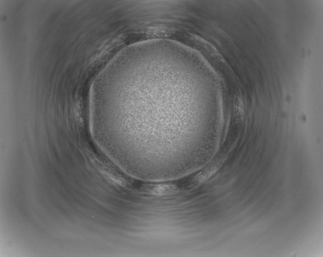 X0000080200663200612221407