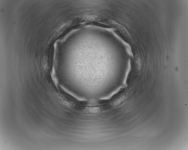 X0000080200665200612221407