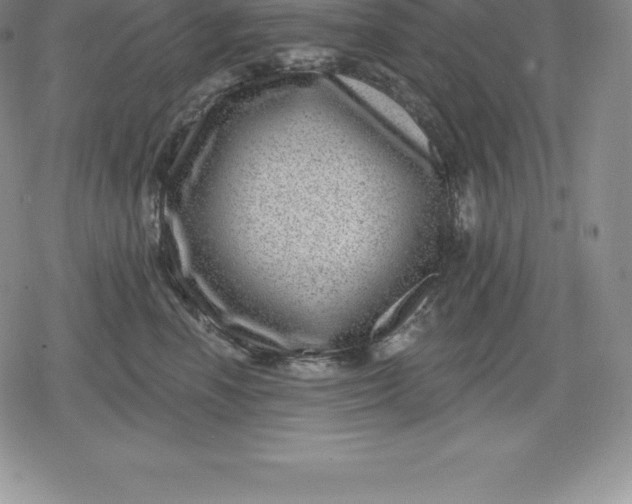 X0000080200666200612221407