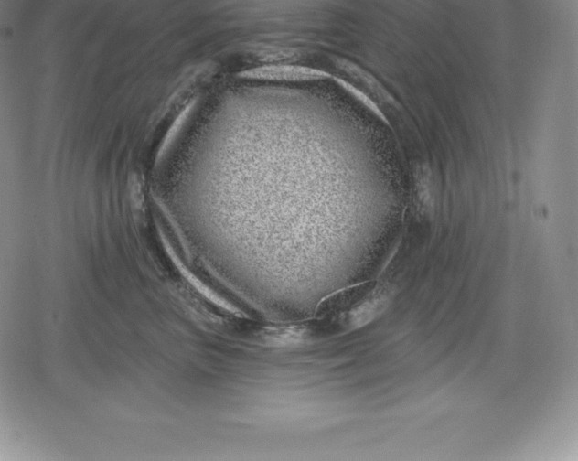 X0000080200667200612221407