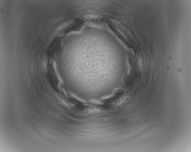 X0000080200668200612221407