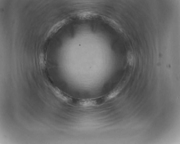 X0000080200670200612221407