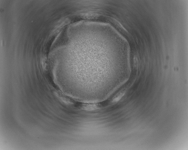 X0000080200671200612221407