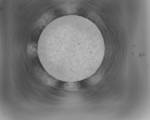 X0000080200672200612221407