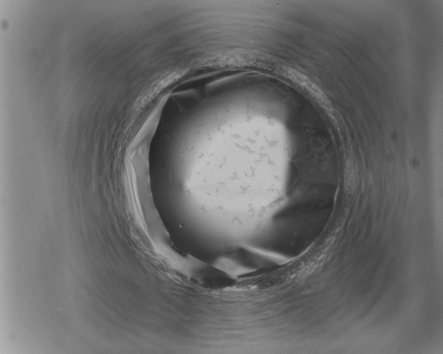 X0000080200673200612221406