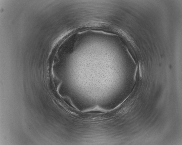 X0000080200675200612221406