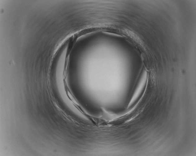 X0000080200676200612221406