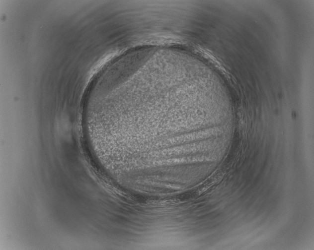 X0000080200679200612221406