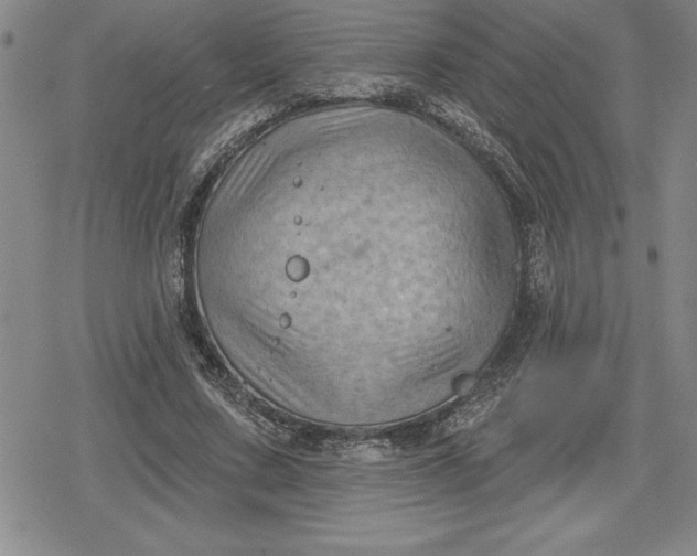 X0000080200683200612221406