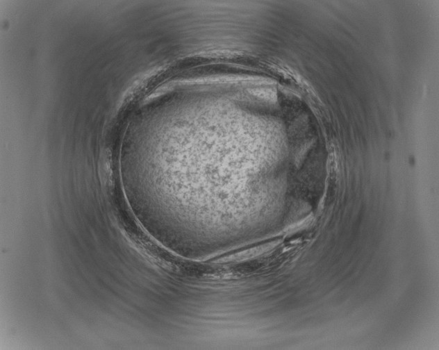 X0000080200688200612221406