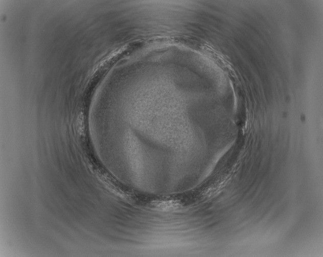 X0000080200689200612221406