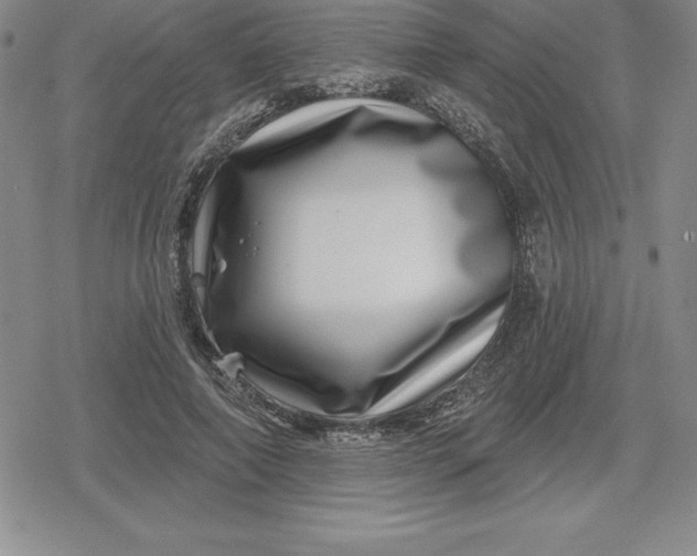 X0000080200690200612221406