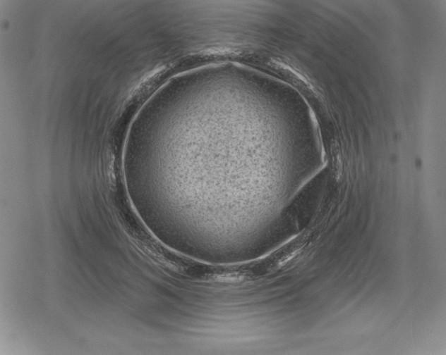 X0000080200692200612221406