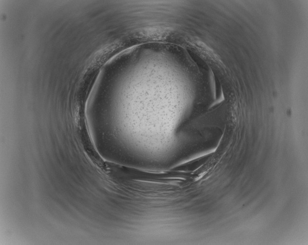 X0000080200693200612221406