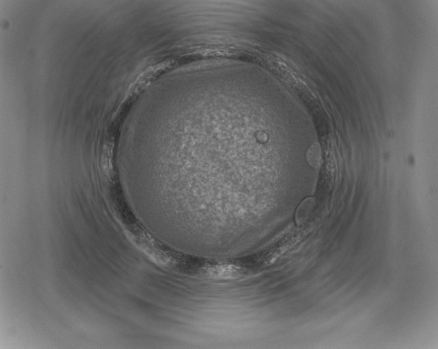 X0000080200695200612221406