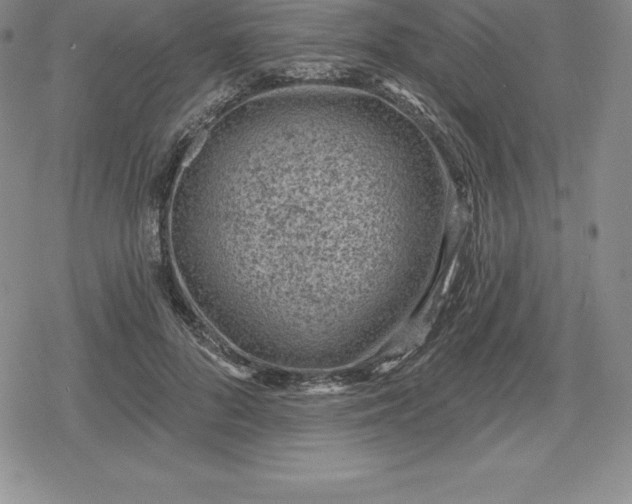 X0000080200696200612221406