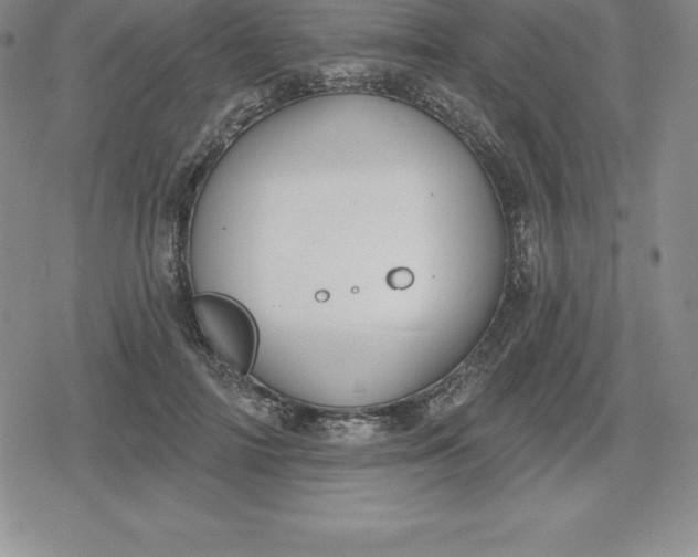 X0000080200698200612221406