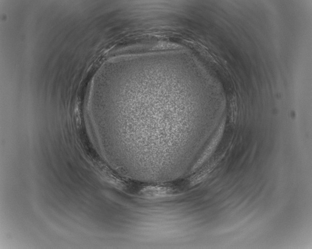 X0000080200699200612221406