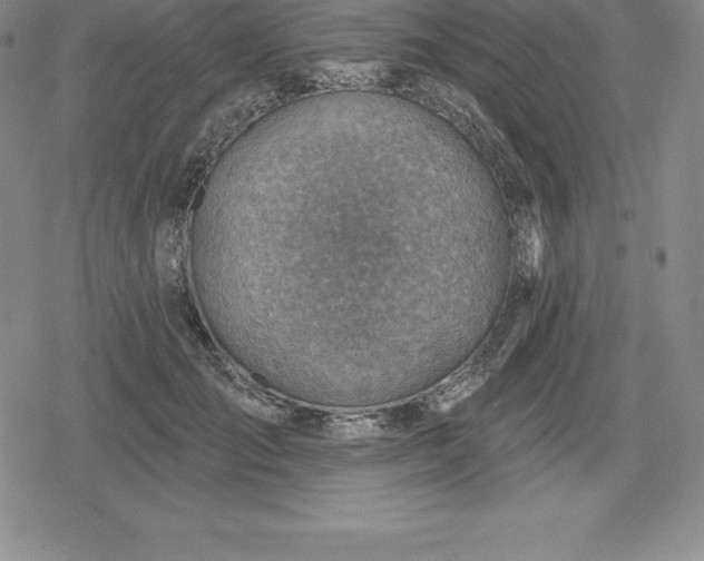 X0000080200701200612221406