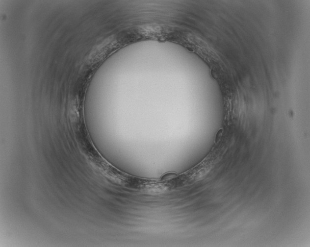 X0000080200702200612221406