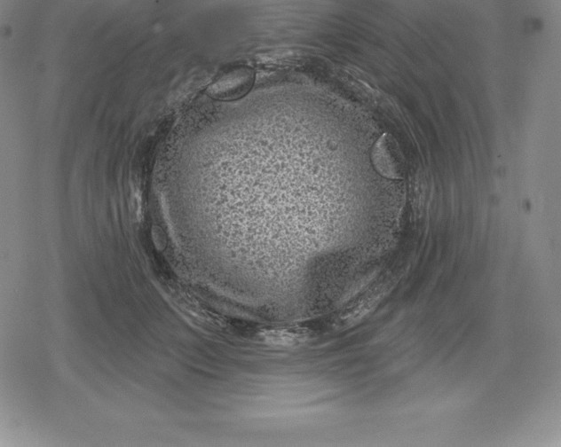 X0000080200703200612221406