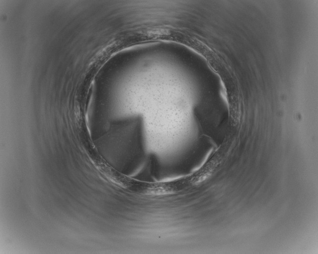 X0000080200704200612221406