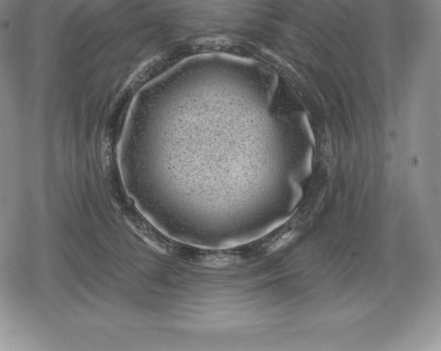 X0000080200708200612221406