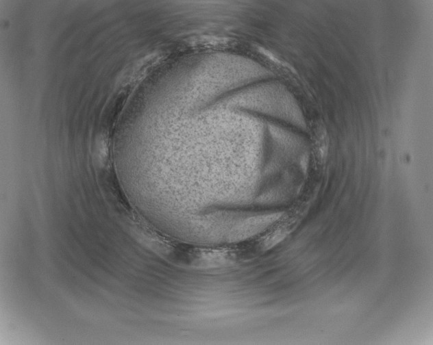 X0000080200709200612221406