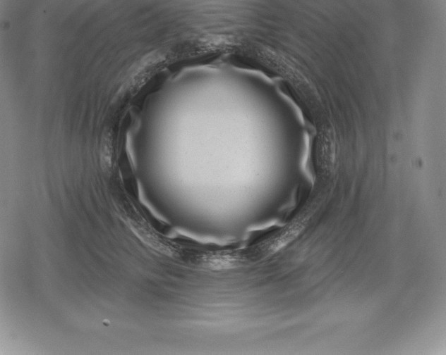 X0000080200710200612221405