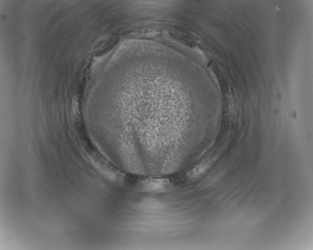 X0000080200711200612221405