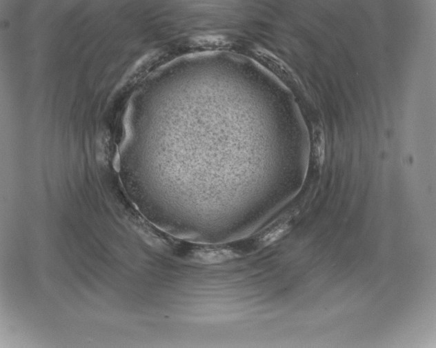 X0000080200712200612221405