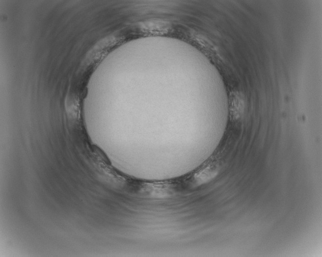 X0000080200713200612221405