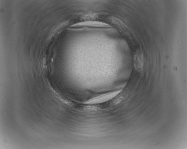 X0000080200714200612221405