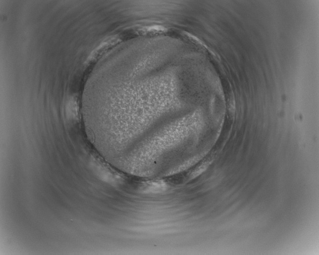 X0000080200715200612221405