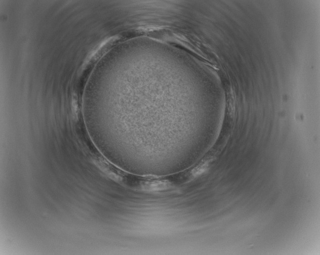 X0000080200716200612221405