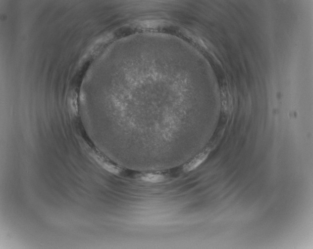 X0000080200718200612221405