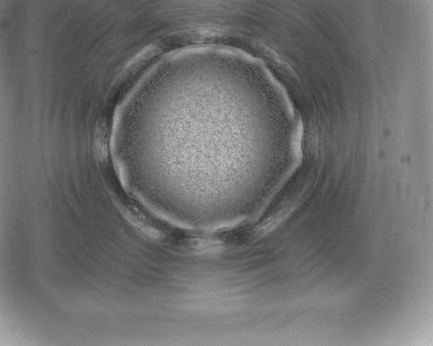 X0000080200719200612221405