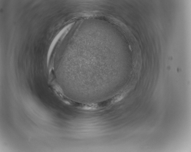 X0000080200720200612221405