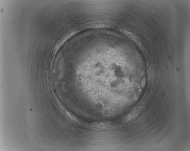 X0000080200721200612221405