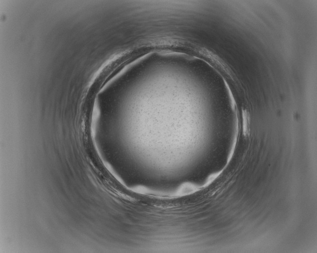 X0000080200723200612221405