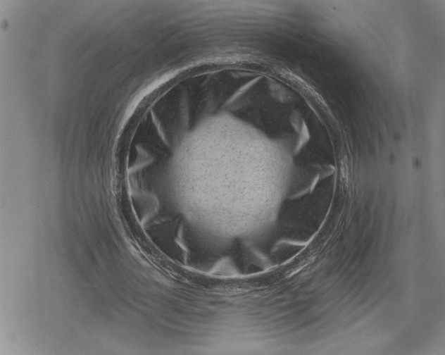 X0000080200724200612221405