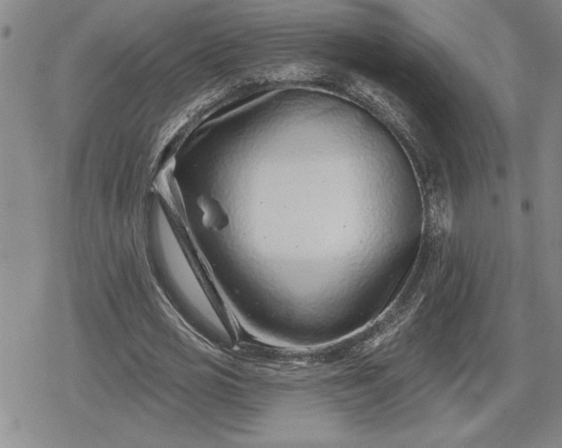 X0000080200725200612221405