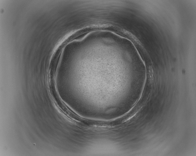 X0000080200726200612221405