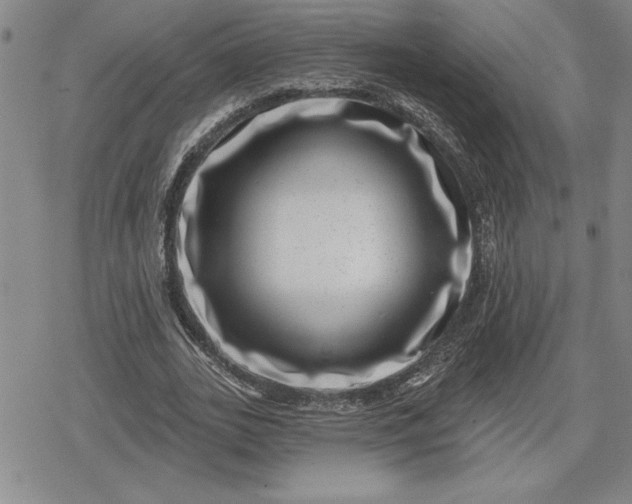 X0000080200727200612221405