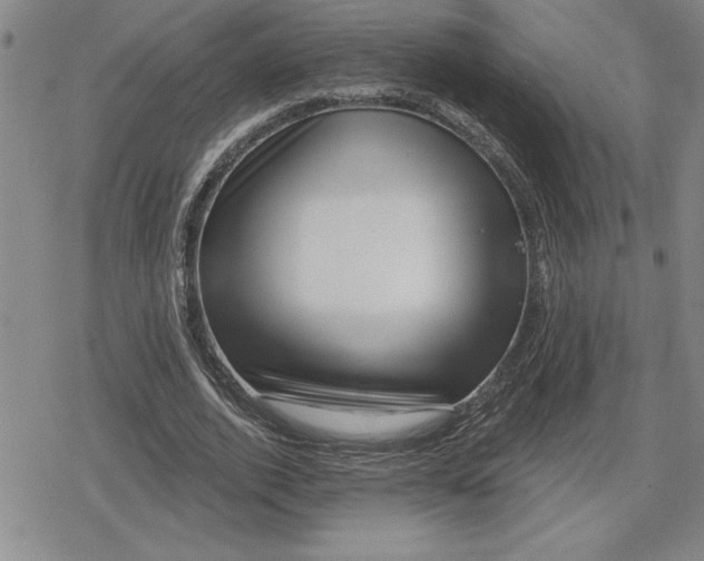 X0000080200728200612221405