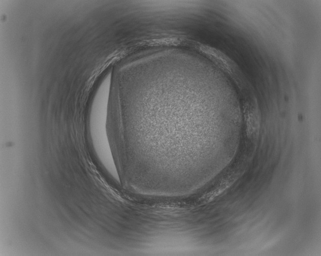 X0000080200729200612221405