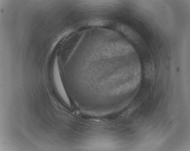 X0000080200731200612221405