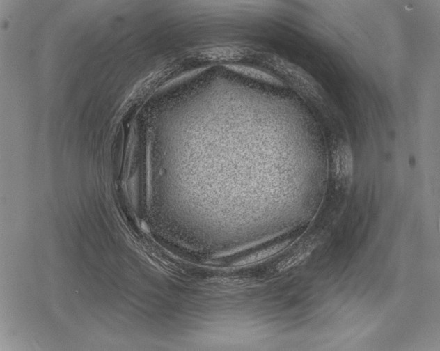 X0000080200733200612221405