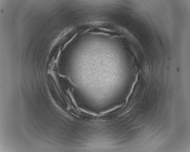 X0000080200734200612221405